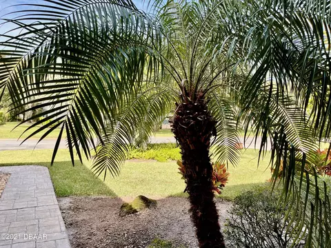 413 Seabrook Rd, Ormond Beach, FL 32174 photo 5