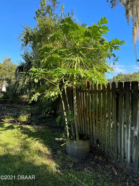 200 Warwick Ave, Ormond Beach, FL 32174 photo 37