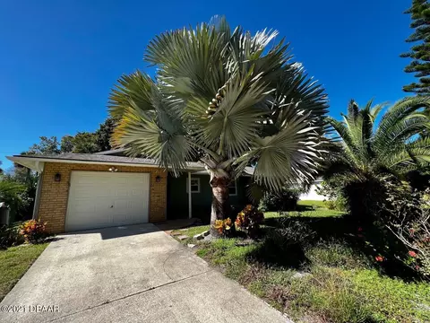 2420 Orange Tree Dr, Edgewater, FL 32141 photo 2