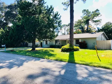 2936 Umbrella Tree Dr, Edgewater, FL 32141 photo 3