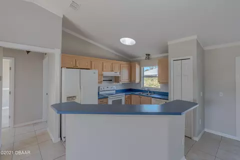 2215 Umbrella Tree Dr, Edgewater, FL 32141 photo 13