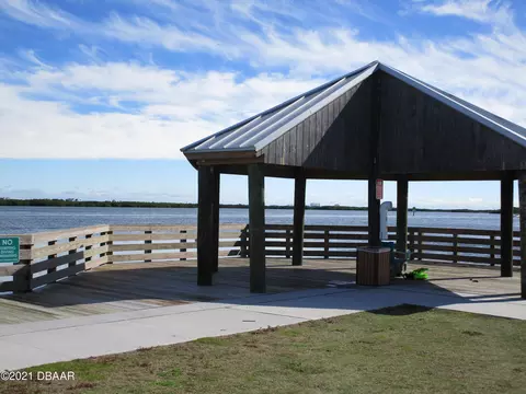 113 E Palm Way, Edgewater, FL 32132 photo 35