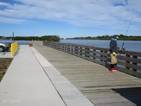 113 E Palm Way, Edgewater, FL 32132 photo 36