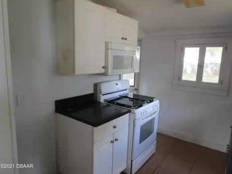 113 E Palm Way, Edgewater, FL 32132 photo 27