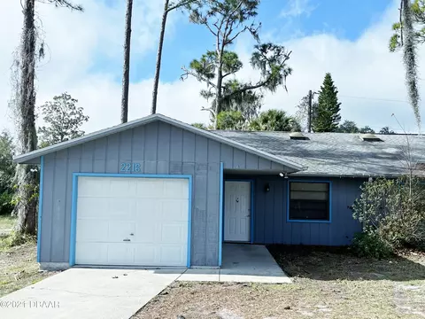 2216 India Palm Dr, Edgewater, FL 32141 photo 1