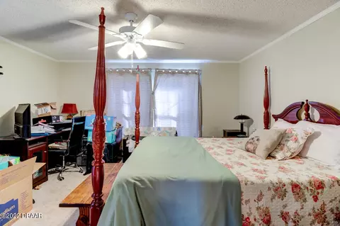 289 Pine Woods Rd, Ormond Beach, FL 32174 photo 18
