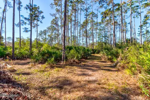 289 Pine Woods Rd, Ormond Beach, FL 32174 photo 20