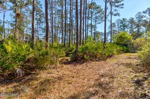 289 Pine Woods Rd, Ormond Beach, FL 32174 photo 21