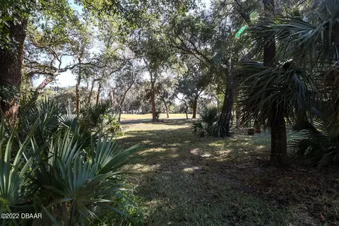 3747 Longford Cir, Ormond Beach, FL 32174 photo 53