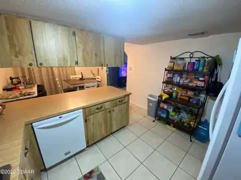 1519 Juniper Dr, Edgewater, FL 32132 photo 16