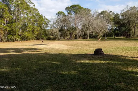 42 Winchester Rd, Ormond Beach, FL 32174 photo 90