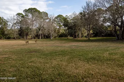 42 Winchester Rd, Ormond Beach, FL 32174 photo 89