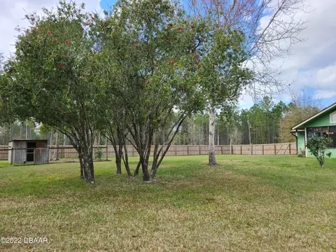 3654 Bareback Trl, Ormond Beach, FL 32174 photo 19
