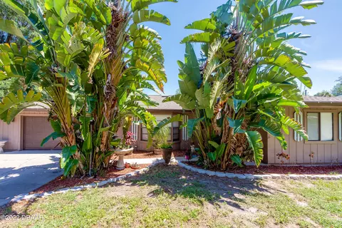 3031 Lime Tree Dr, Edgewater, FL 32141 photo 2