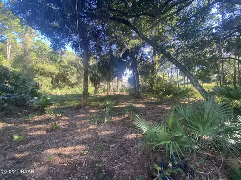 142 Arbor Ln, Edgewater, FL 32141 photo 2