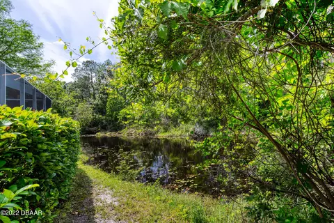 4 Foxbrow Look, Ormond Beach, FL 32174 photo 71