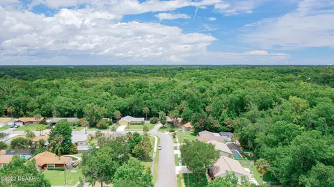9 Laurel Oaks Cir, Ormond Beach, FL 32174 photo 29