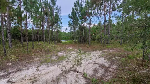 15 Spanish Pine Way, Ormond Beach, FL 32174 photo 6