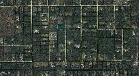 2154 Hazelnut St, Bunnell, FL 32110 photo 1