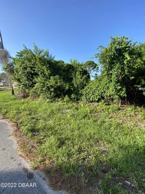 2611 Guava Dr, Edgewater, FL 32141 photo 5