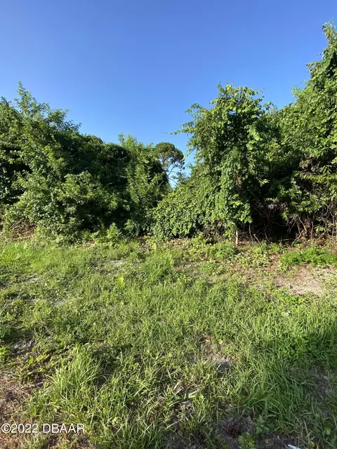 2611 Guava Dr, Edgewater, FL 32141 photo 4