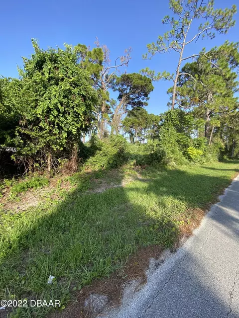 2611 Guava Dr, Edgewater, FL 32141 photo 6