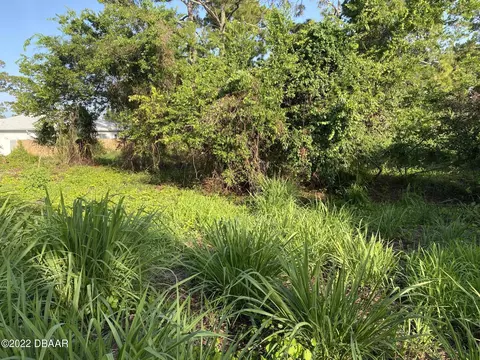 2611 Guava Dr, Edgewater, FL 32141 photo 2