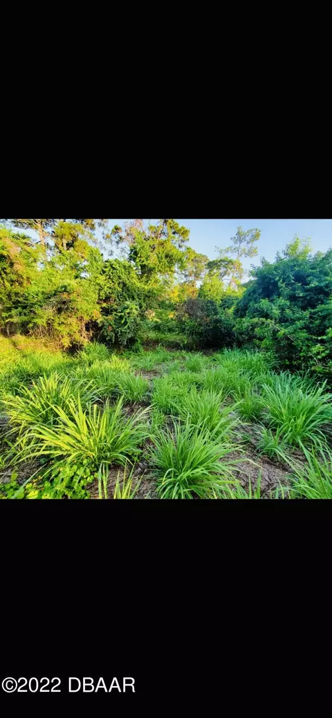 2611 Guava Dr, Edgewater, FL 32141 photo 8