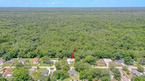 3016 Silver Palm Dr, Edgewater, FL 32141 photo 36