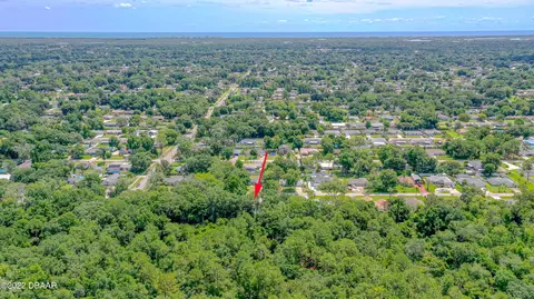 3016 Silver Palm Dr, Edgewater, FL 32141 photo 35