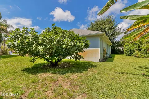 121 N Cory Dr, Edgewater, FL 32141 photo 31