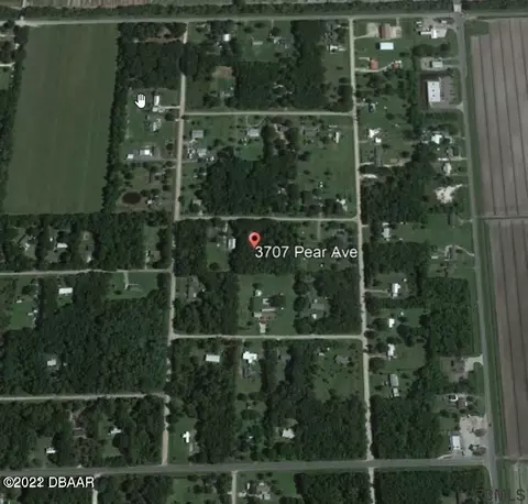 3707 Pear Ave, Bunnell, FL 32110 photo 3