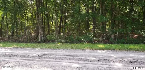 3707 Pear Ave, Bunnell, FL 32110 photo 8