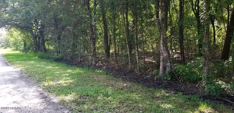 3707 Pear Ave, Bunnell, FL 32110 photo 6