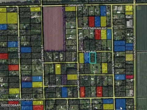 3707 Pear Ave, Bunnell, FL 32110 photo 2