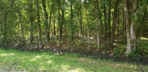 3707 Pear Ave, Bunnell, FL 32110 photo 4