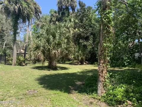 274 Oleander Pl, Ormond Beach, FL 32174 photo 18