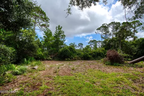 101 Pine Creek Trl, Ormond Beach, FL 32174 photo 68