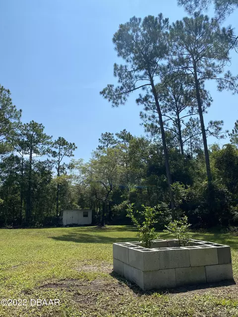 2727 Coconut Blvd, Bunnell, FL 32110 photo 3