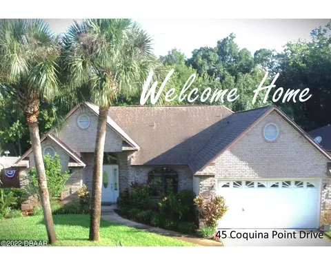 45 Coquina Point Dr, Ormond Beach, FL 32174 photo 1