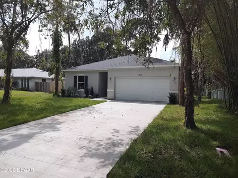 2414 Needle Palm Dr, Edgewater, FL 32141 photo 3