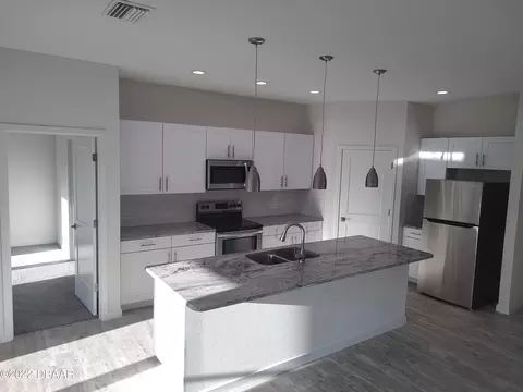 2414 Needle Palm Dr, Edgewater, FL 32141 photo 8