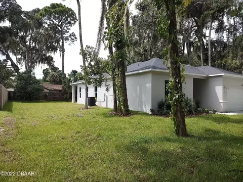 2414 Needle Palm Dr, Edgewater, FL 32141 photo 2