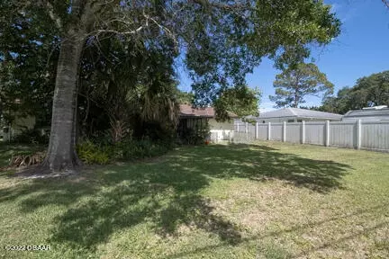 2928 Umbrella Tree Dr, Edgewater, FL 32141 photo 5