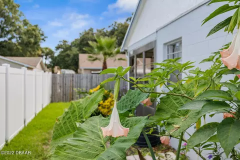 11 Trina St, Ormond Beach, FL 32174 photo 38