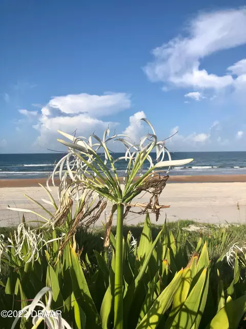 373 S Atlantic Ave, Ormond Beach, FL 32176 photo 5