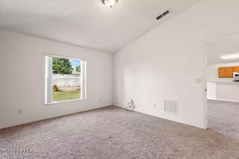 213 Tree Branch Ln, Edgewater, FL 32141 photo 15