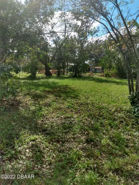 731 Orchard Ave, Ormond Beach, FL 32174 photo 4