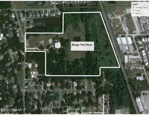 1413 Mango Tree Dr, Edgewater, FL 32132 photo 2