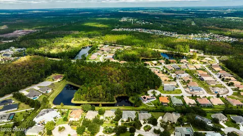 43 Deep Woods Way, Ormond Beach, FL 32174 photo 63